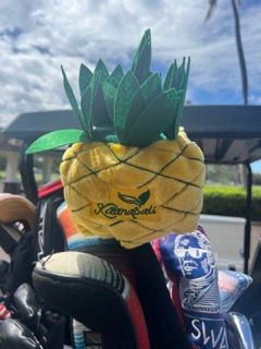 Pineapple Head Cover
